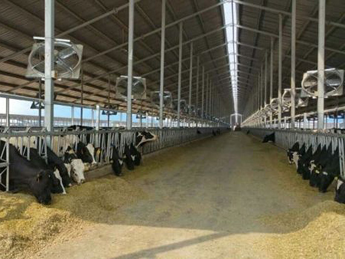 TIKTOK色板2.4.1除雾排氨 TIKTOK色板2.4.1除雾排氨