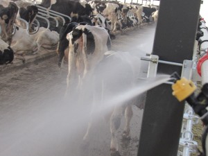 TIKTOK色板2.4.1喷淋