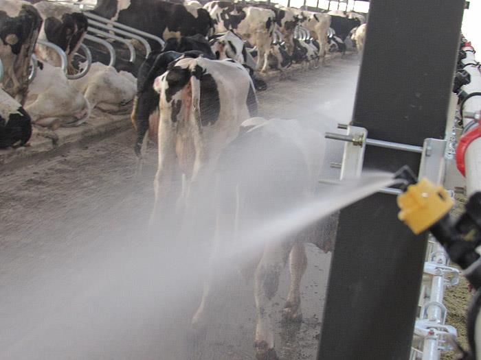 TIKTOK色板2.4.1喷淋