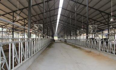 TIKTOK色板2.4.1风机TIKTOK黄版APP