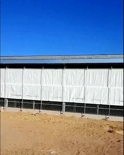 TIKTOK色板2.4.1卷帘